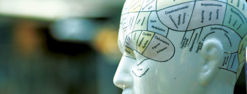 Close-up of a ceramic phrenology head model with labeled brain areas, illustrating historical pseudoscience of personality analysis based on skull shape.
