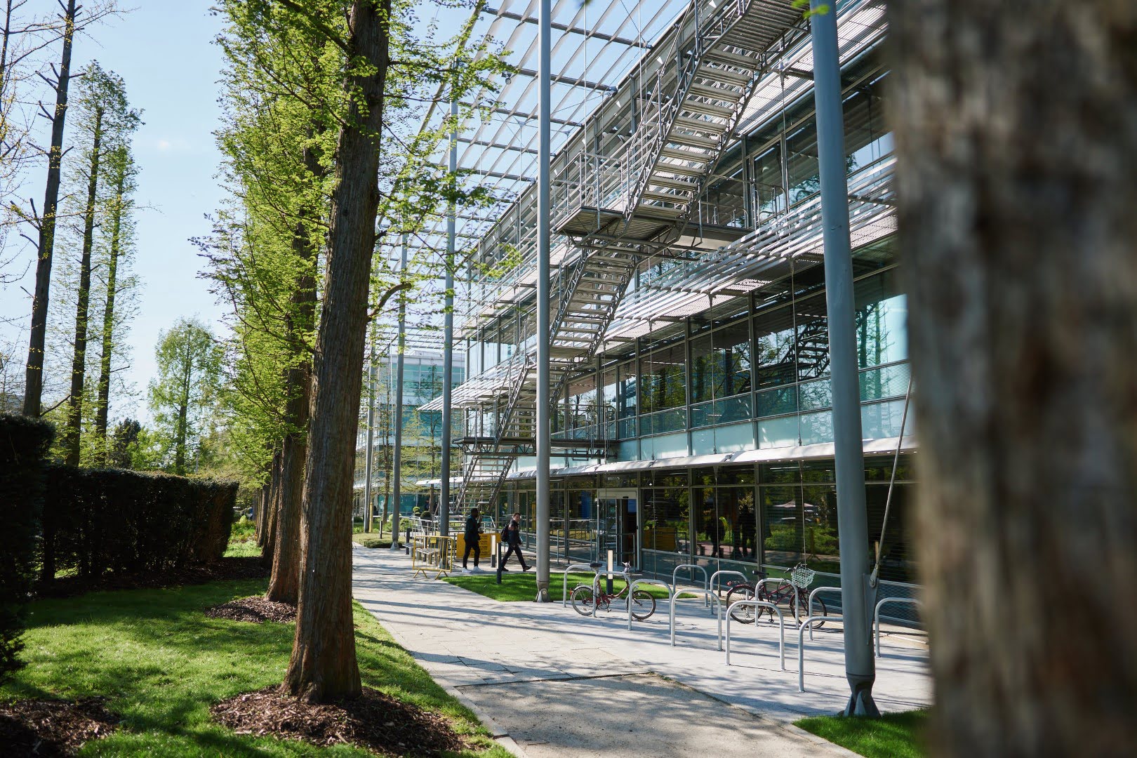 A city park with a tall tree, lush grass, and a modern building surrounded by plants and a clear blue sky stretches out before you.