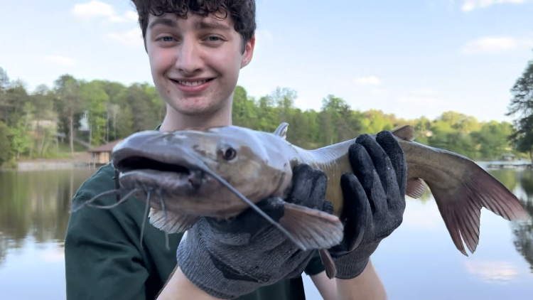 A smiling person is holding a large catfish in front of a calm lake, wearing gloves, with trees and a blue sky reflected on the water.