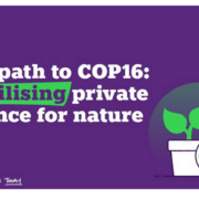 Promotional graphic for COP16 emphasizes mobilizing private finance for nature, featuring NatWest logo, plant with coin symbol, and a vibrant purple background.