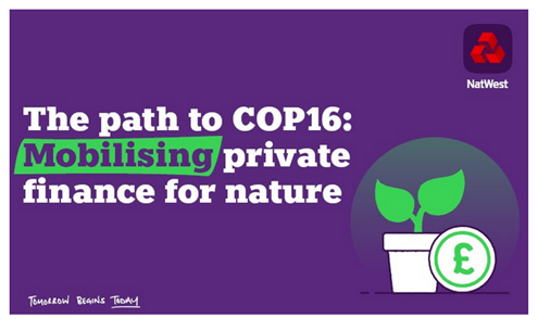 Promotional graphic for COP16 emphasizes mobilizing private finance for nature, featuring NatWest logo, plant with coin symbol, and a vibrant purple background.