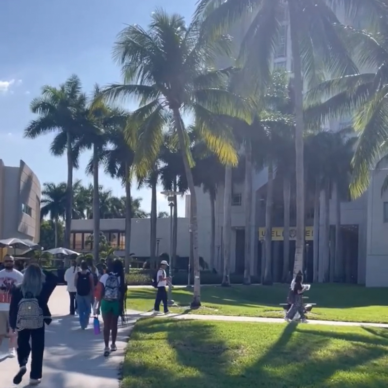 People walk along a sunny path lined with palm trees, approaching a modern building. "Welcome" is visible on the building.