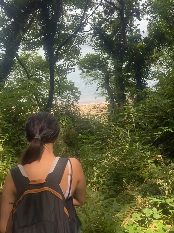 A person with a backpack walks through dense forest towards a distant beach, framed by tall, lush green trees.