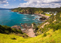 Coastal view of New Zealand's Bay of Islands with turquoise waters, rocky shoreline, lush greenery, and houses visible in the background under a partly cloudy sky.