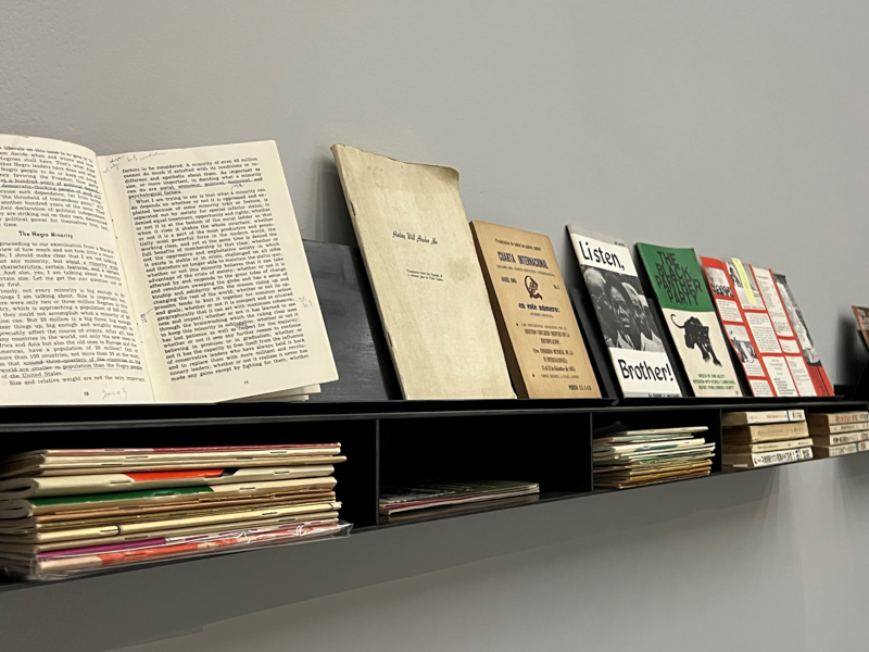 A wall-mounted shelf holds books and magazines, including titles like "Listen, Brother!" and "The Black Panther," against a plain background.