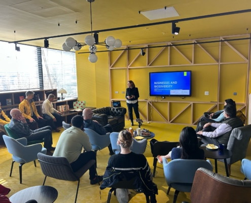 A person presents on "Businesses and Biodiversity" to a seated group in a modern, yellow-themed room with a television screen.