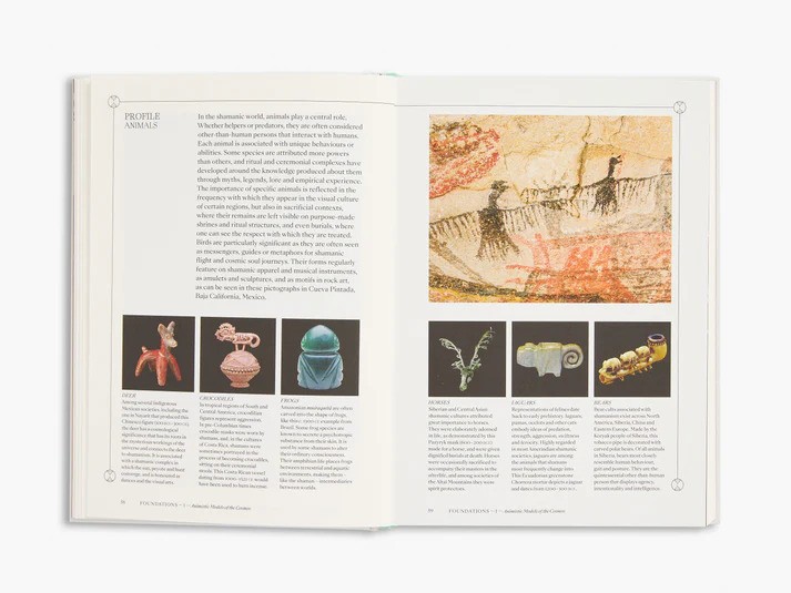 An open book displays ancient petroglyphs, detailed artifacts, and descriptive text. The right page shows rock art from Cueva Pintada, Mexico.