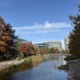 Modern buildings surrounded by lush autumn trees flank a peaceful pond under a clear blue sky, creating a tranquil urban park scene. Chiswick Park.