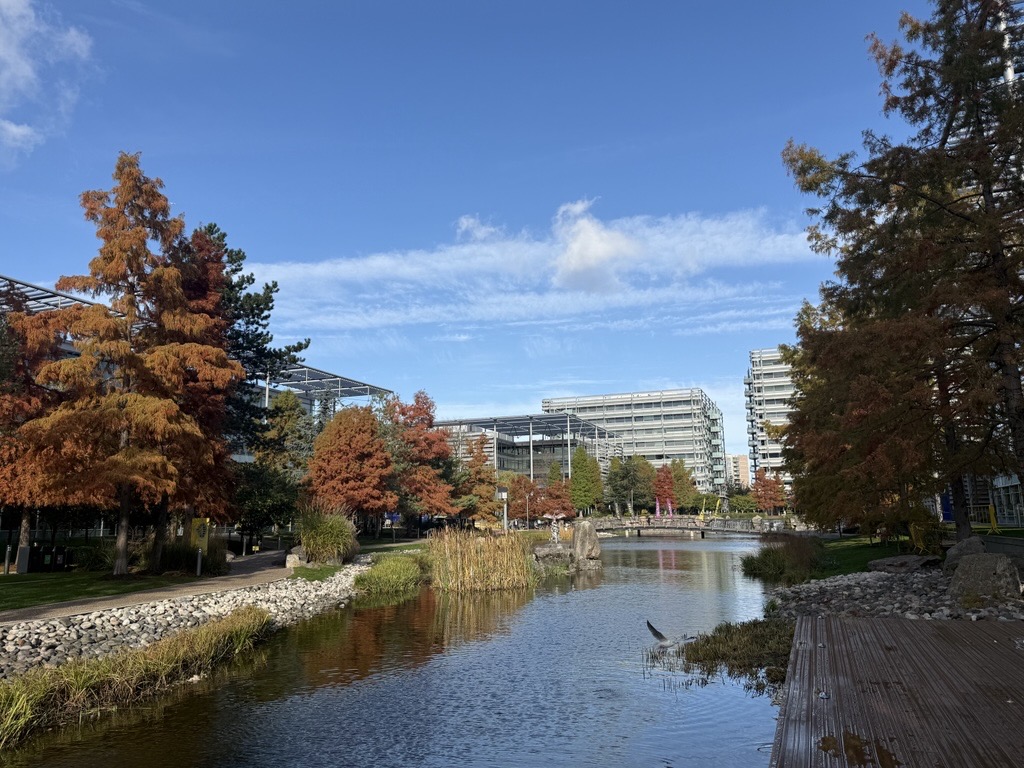 Modern buildings surrounded by lush autumn trees flank a peaceful pond under a clear blue sky, creating a tranquil urban park scene. Chiswick Park.